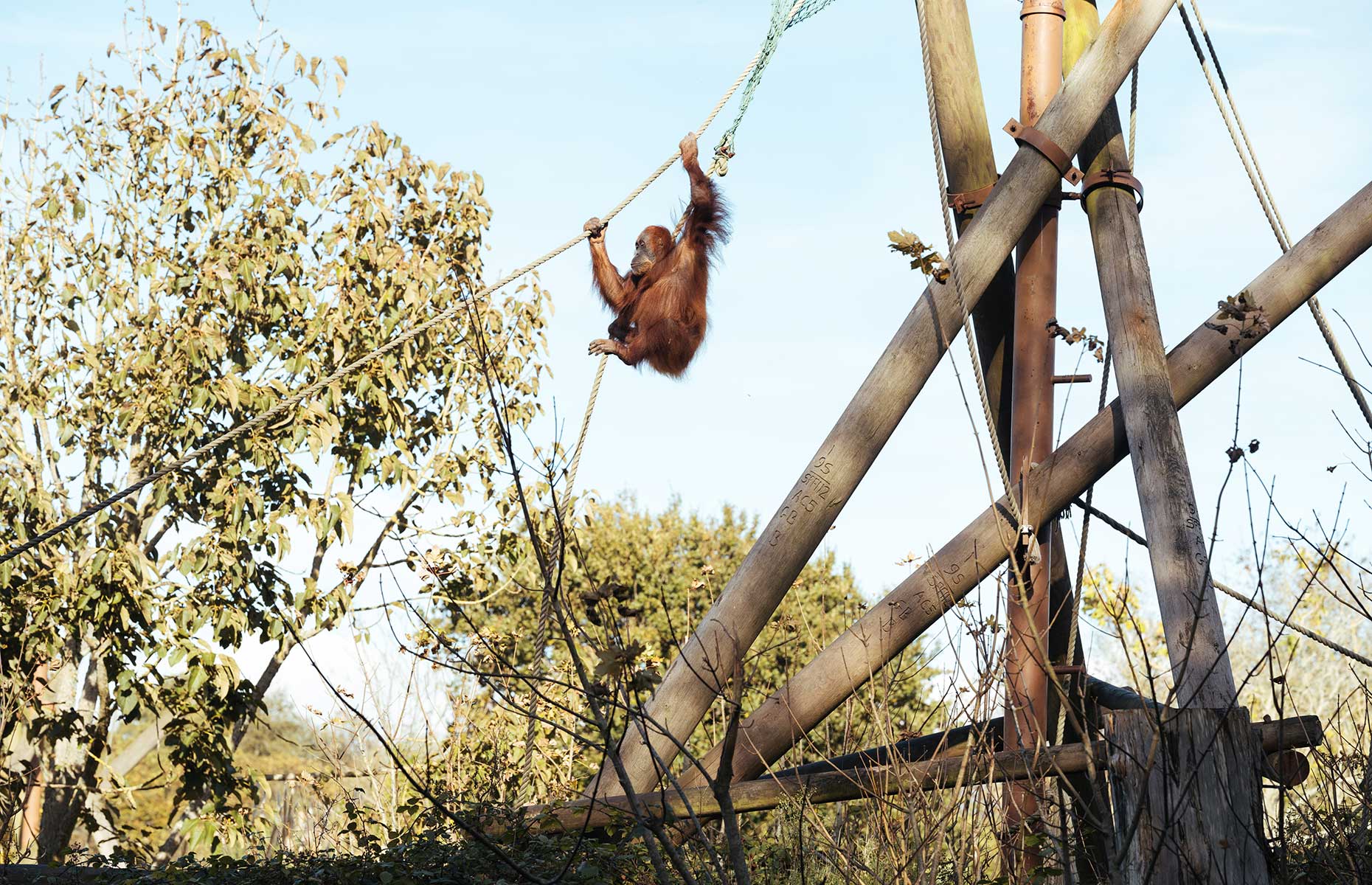 Explore Jersey what to see, where to stay and what to eat